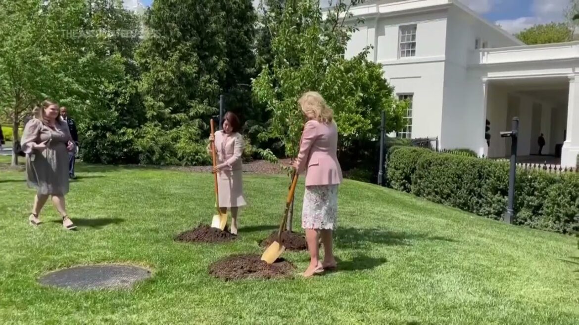 US, Japan mark friendship with cherry tree planting