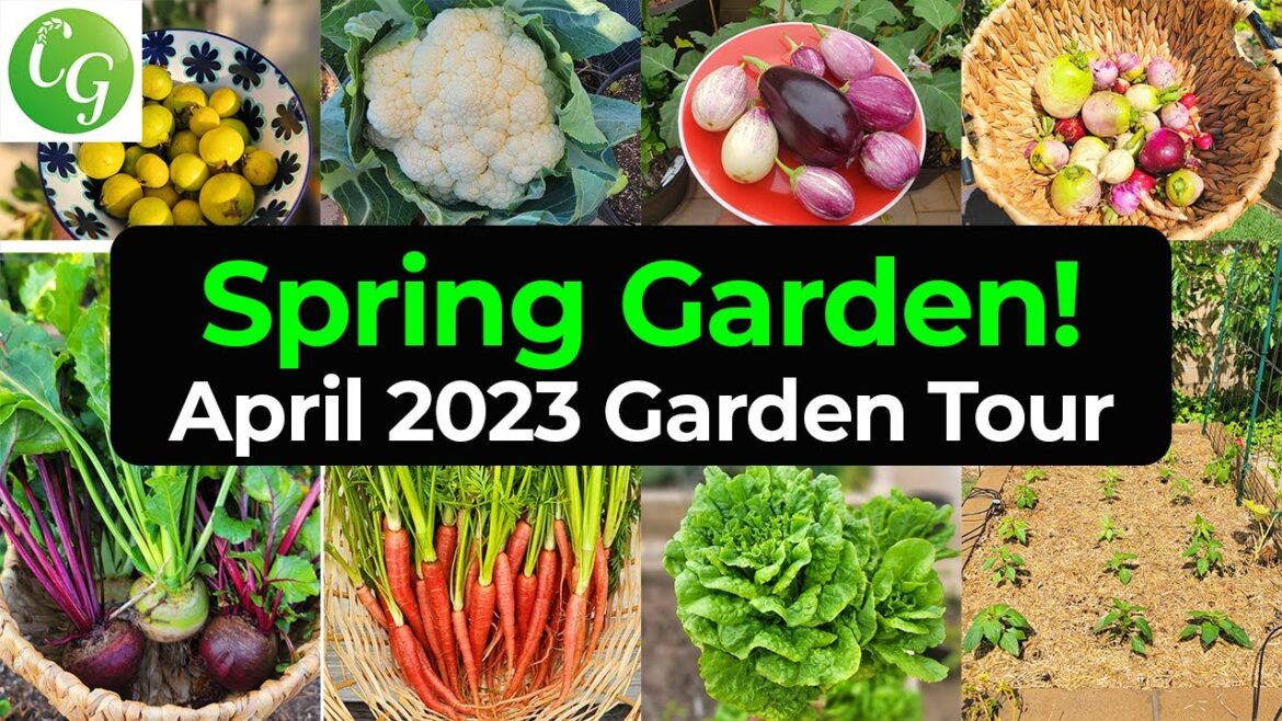 Uncover the Secrets of a California Springtime Garden!
