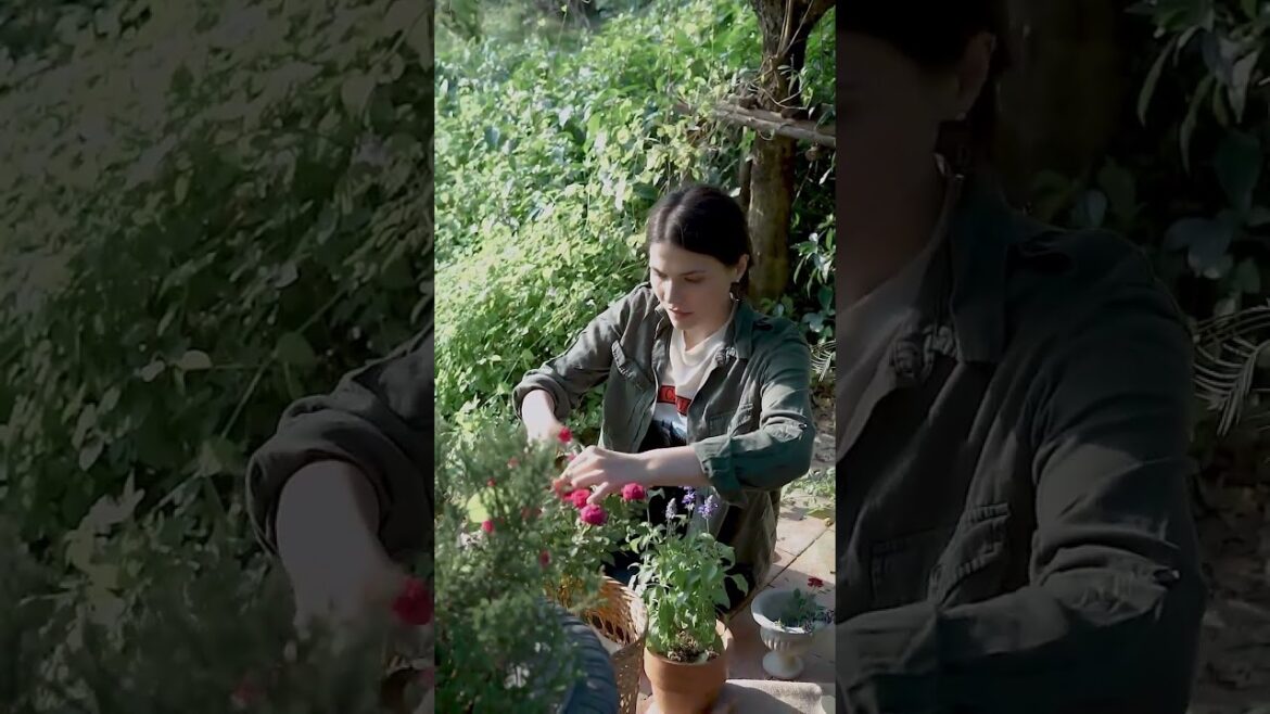 Gardening Tips: A Woman's Guide to Checking Flower Health and Watering Techniques #flowers #women