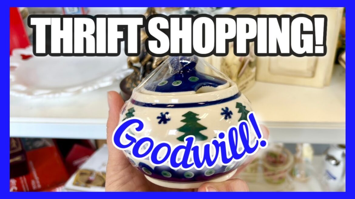 FOUND THE MOTHER LODE!! GOODWILL THRIFTING & AMAZING HAUL! I Never Find This Much at Goodwill!