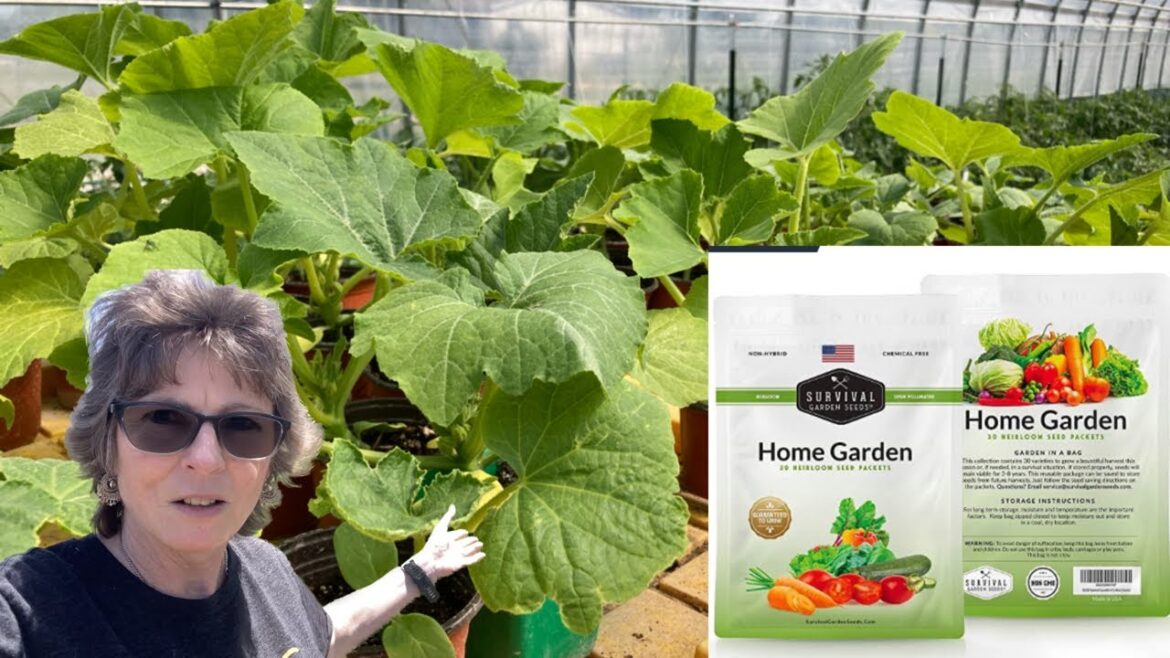 The Top Reasons To Start Your Garden From Seeds!