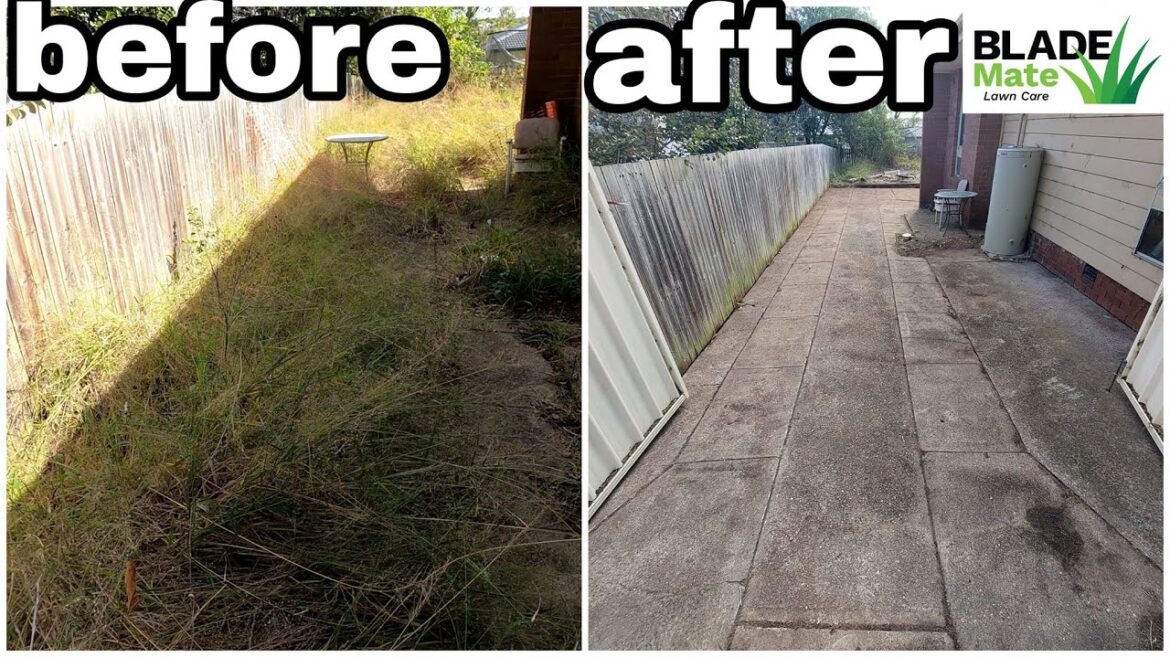 Hidden for 8 years – Epic overgrown yard rescue Hidden for 8 years - Epic overgrown yard rescue
