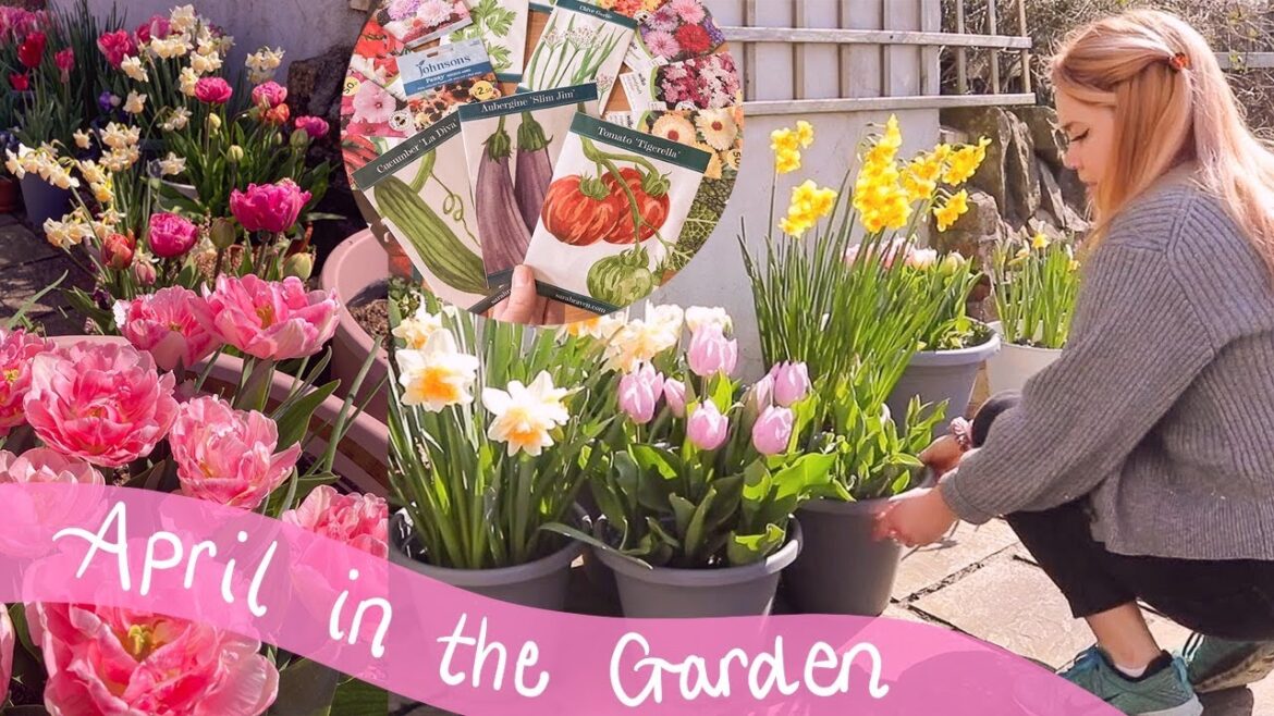 April Garden Vlog 🌷 growing potatoes / tomatoes / dahlias / sowing lots of seeds & tulips!! April Garden Vlog 🌷 growing potatoes / tomatoes / dahlias / sowing lots of seeds & tulips!!