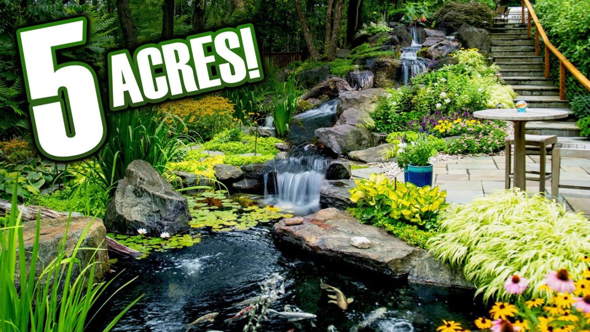 5 acres YOU HAVE to see! TOUR 5 acres YOU HAVE to see! TOUR