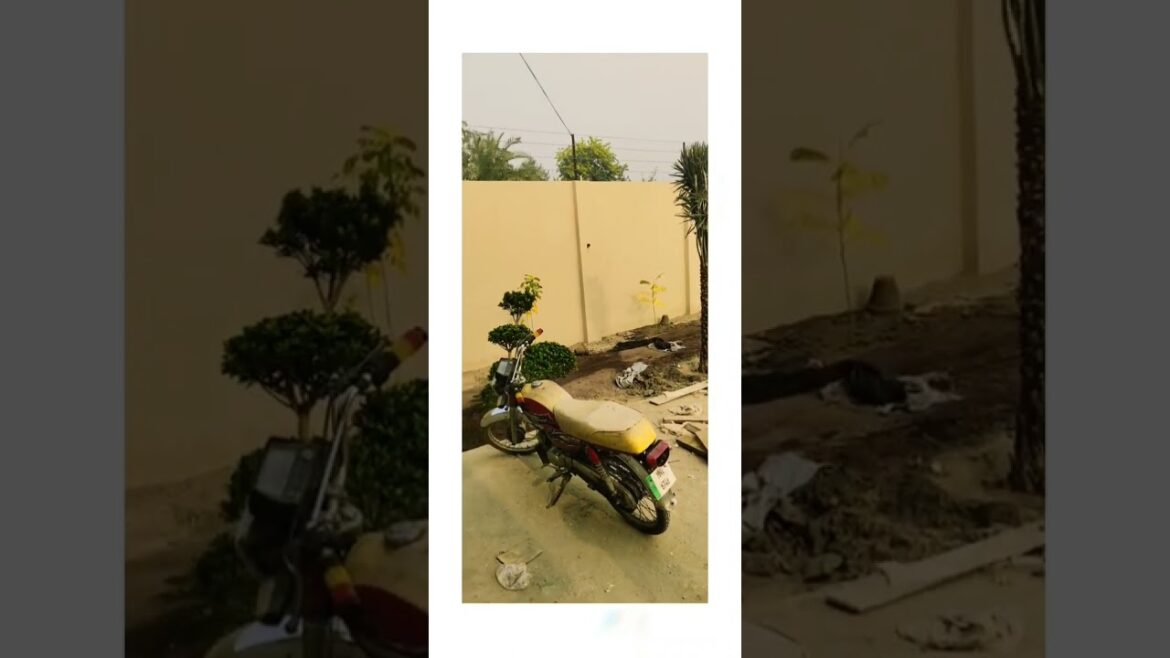 VID 20221105 WA0029 VID 20221105 WA0029