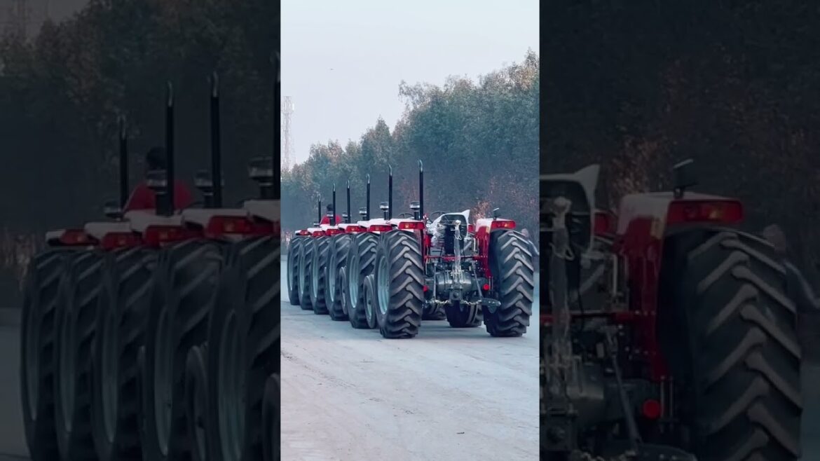 Gardening / Kitchen Gardening / Vegetable Gardening Tools 002 #ytshorts #shorts