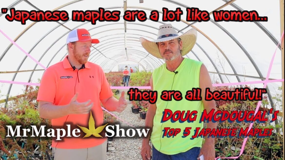 Top 5 Japanese Maples with Doug McDougal