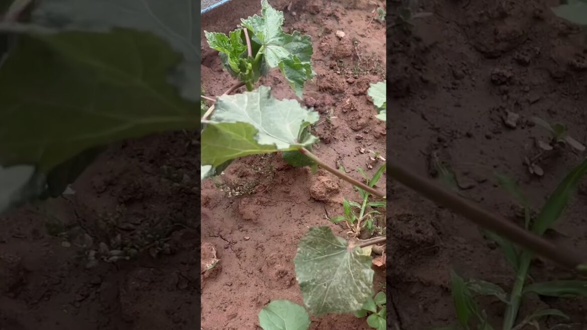 क्या कर सकते हैं हम इस बारे में