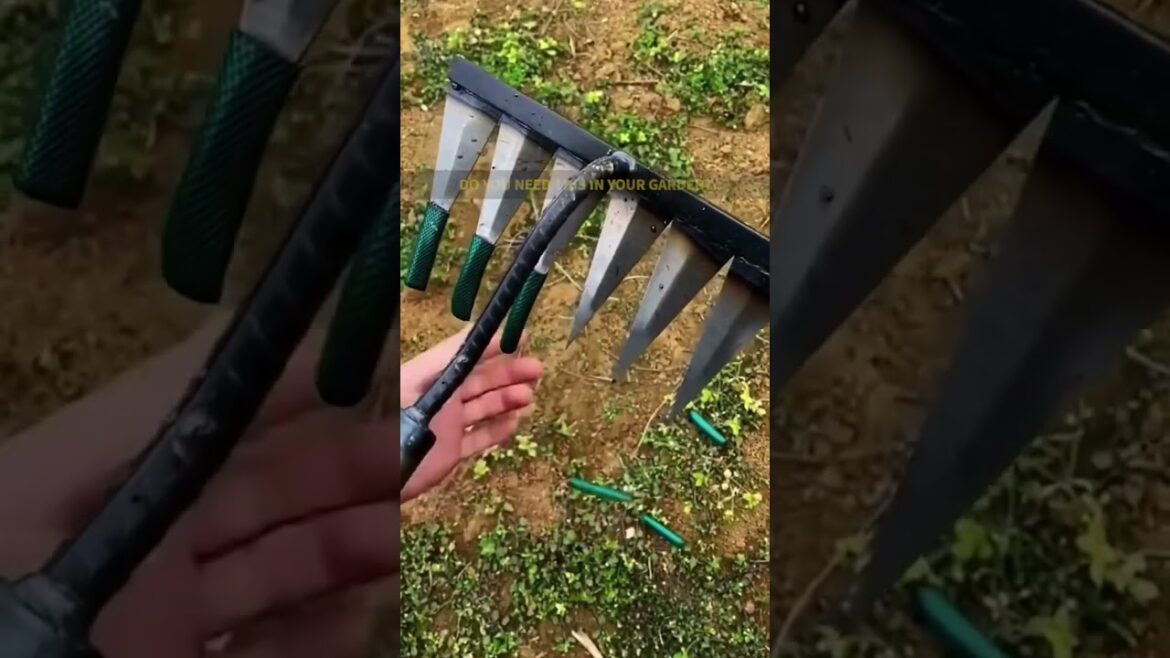 The Sharp Precision of Multiple Pointed Hoes – The Garden Answer to your Gardening Questions! The Sharp Precision of Multiple Pointed Hoes - The Garden Answer to your Gardening Questions!