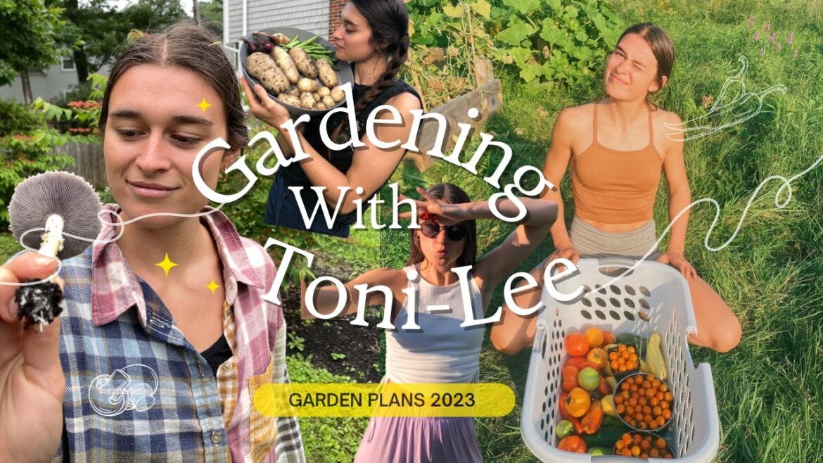 GARDEN PLANS FOR 2023 GROWING IN ZONE 5B π₯ππ π₯π
(small space , raised beds) GARDEN PLANS FOR 2023 GROWING IN ZONE 5B π₯ππ π₯π
(small space , raised beds)