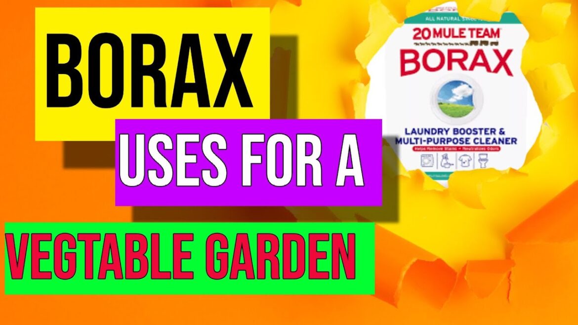 Borax Uses For Vegetable Gardening Borax Uses For Vegetable Gardening