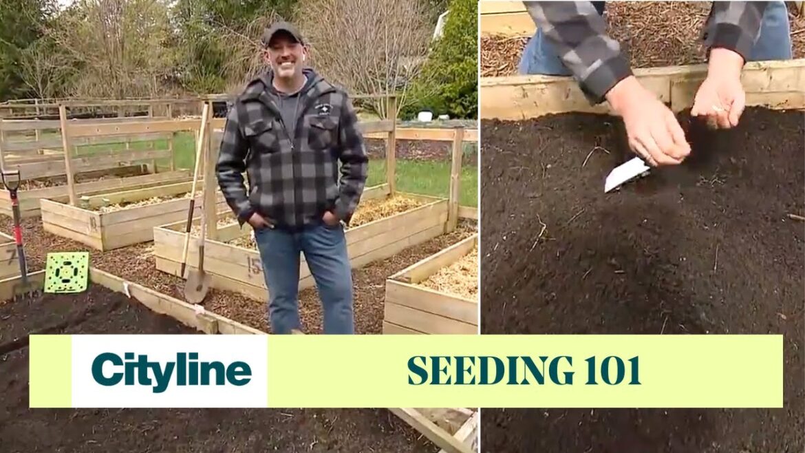 Seeding tips for successful spring gardening Seeding tips for successful spring gardening