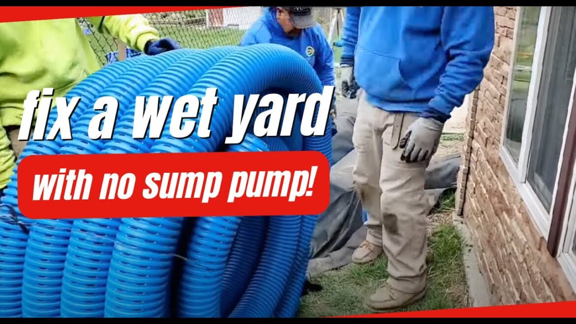 How to Drain Water Out of a Backyard with a Gravity System NO Pumps