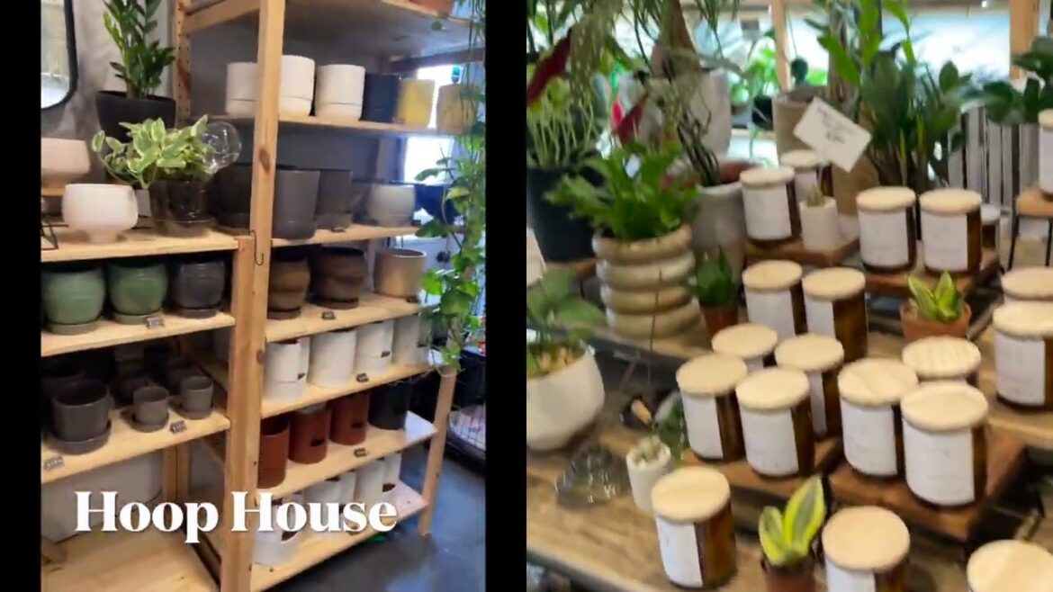 Plant Shopping Plant Shopping