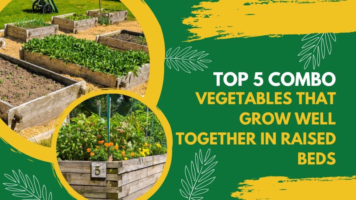Vegetables That Grow Well Together In Raised Beds | Companion Planting | Vegetable Gardening Vegetables That Grow Well Together In Raised Beds | Companion Planting | Vegetable Gardening