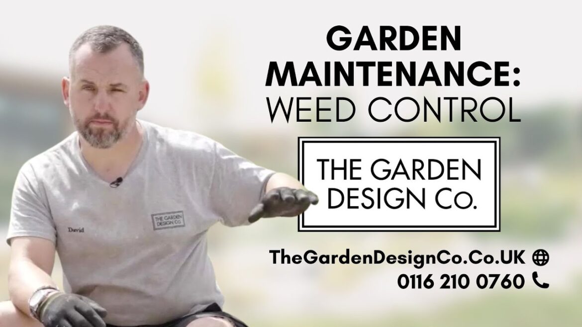 Garden Maintenance Weed Control by The Garden Design Co Garden Maintenance Weed Control by The Garden Design Co