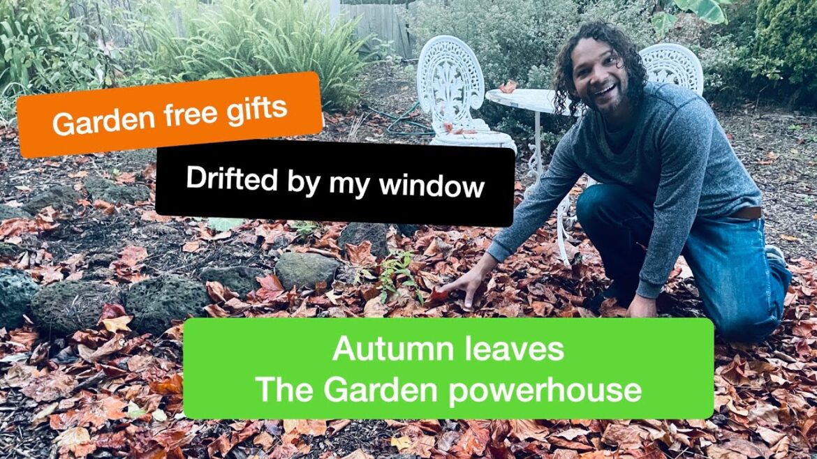 Leaf-Powered Garden: Autumn's Shredding Hacks & Handy Tips