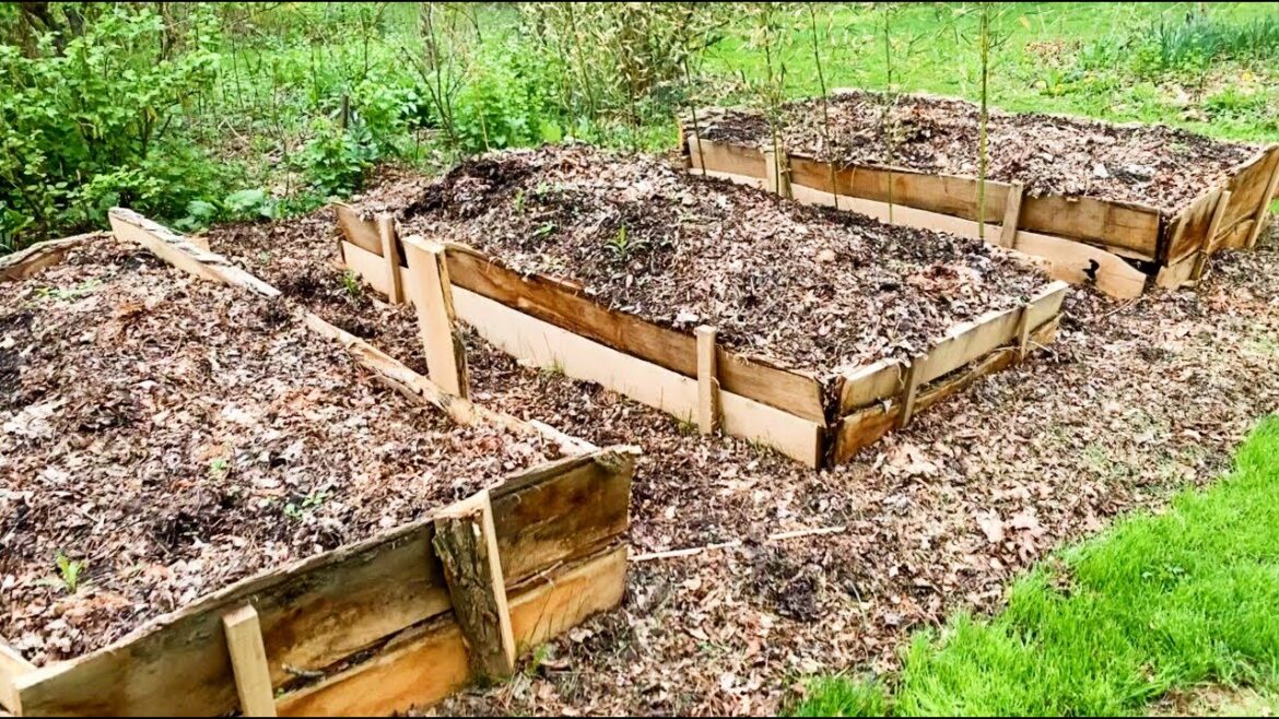 EASY Raised Beds – Early Spring Update EASY Raised Beds - Early Spring Update