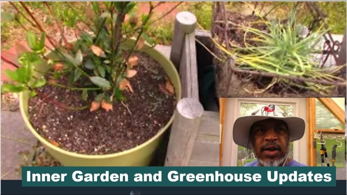 Inner Garden Tour-May | Backyard Edible Garden | #spring2023