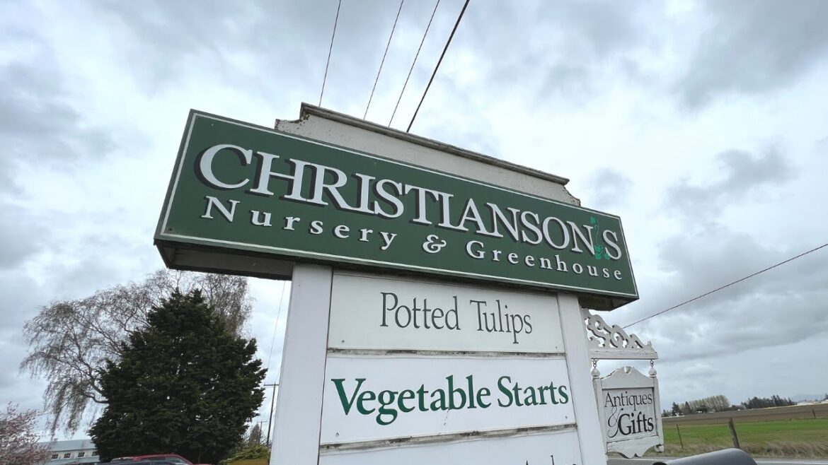 Christianson’s Nursery and Greenhouse Tour! :: Skagit Valley Tulip Festival! Christianson's Nursery and Greenhouse Tour! :: Skagit Valley Tulip Festival!