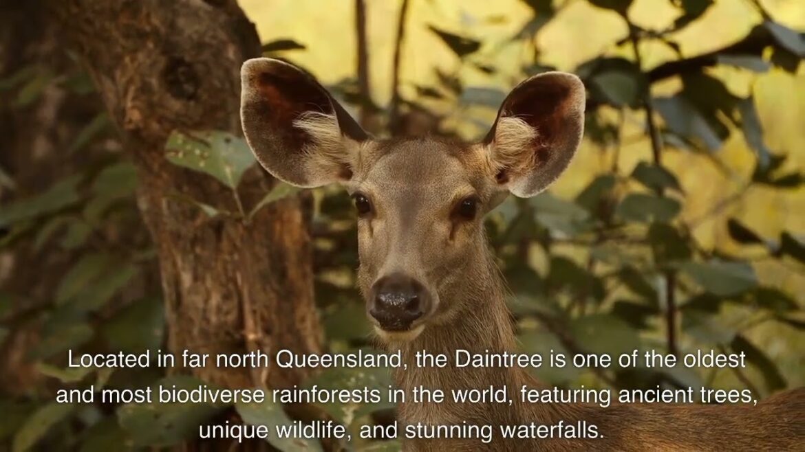 Top 20 places of Australia-Travel video