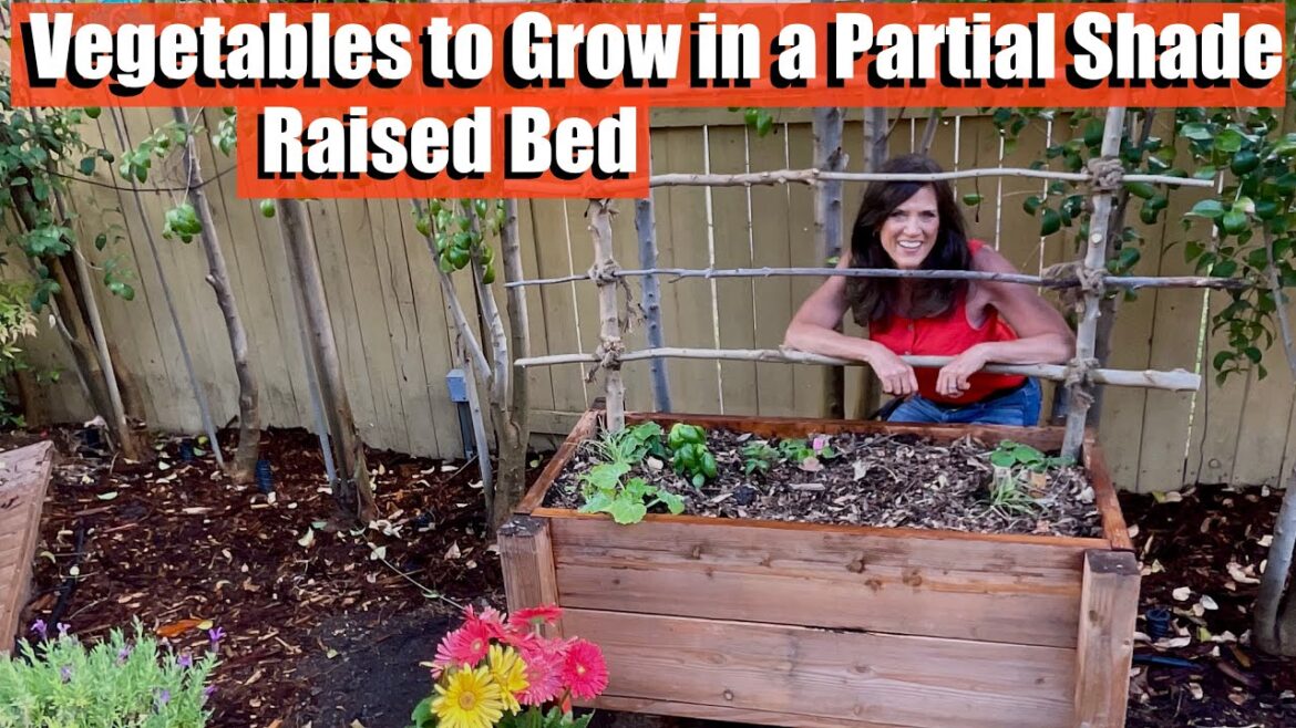 Vegetables To Grow in a Partial Shade Raised Bed Garden