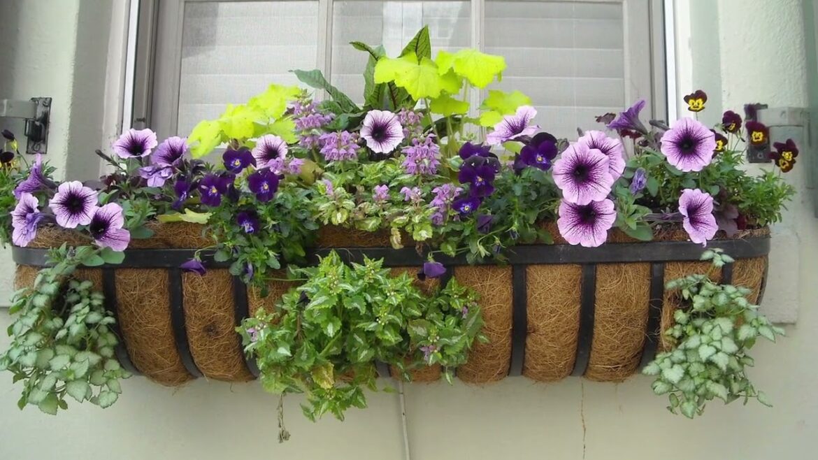 50 garden and backyard landscape design ideas