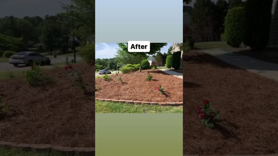 Garden Design Ideas and Inspiration by Atlanta Best Gardens