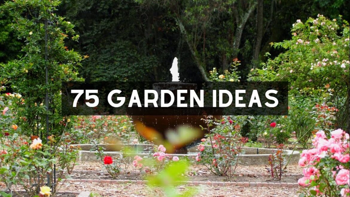 Best creative garden ideas that will transform your backyard | inspire your next patio makeover