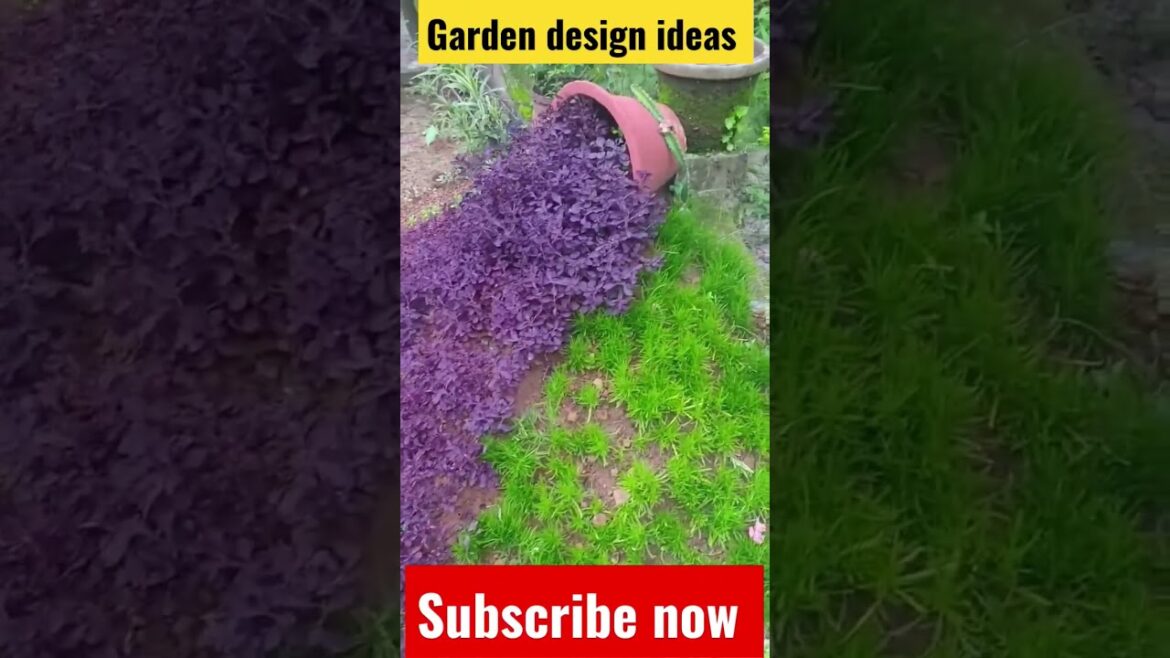 garden design ideas #garden #gardening #gardenideas #gardentips #gardeningtips #shortvideo #shorts