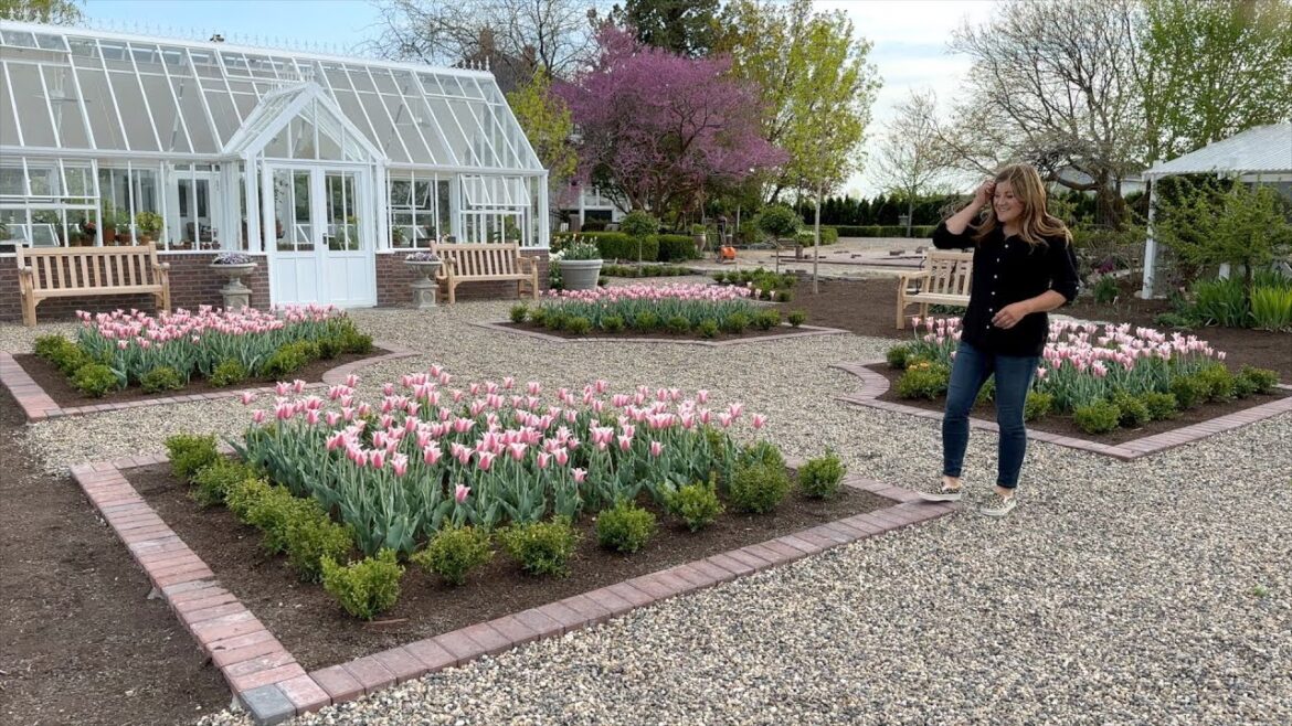 Garden Answer: May Garden Tour! 🌿💚🌿 // Garden Answer May Garden Tour! 🌿💚🌿 // Garden Answer