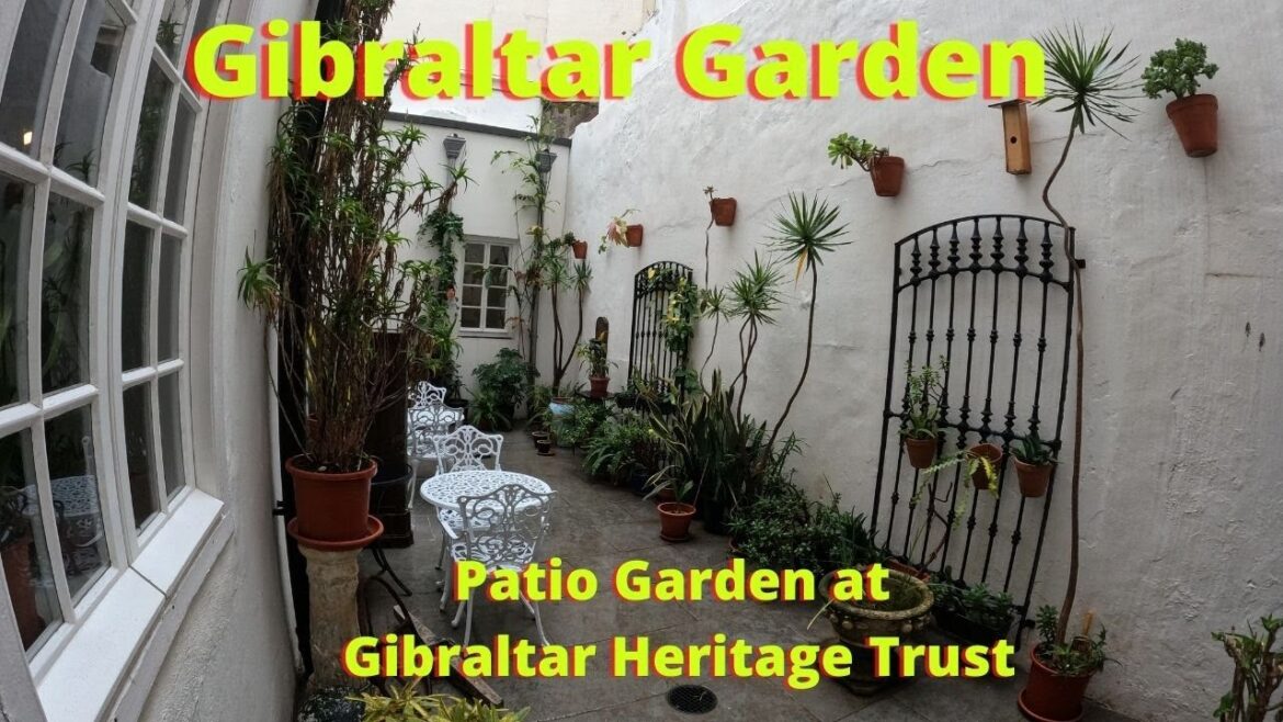 Garden Oasis; Gibraltar Heritage Trust; Propagating Tips Garden Oasis; Gibraltar Heritage Trust; Propagating Tips