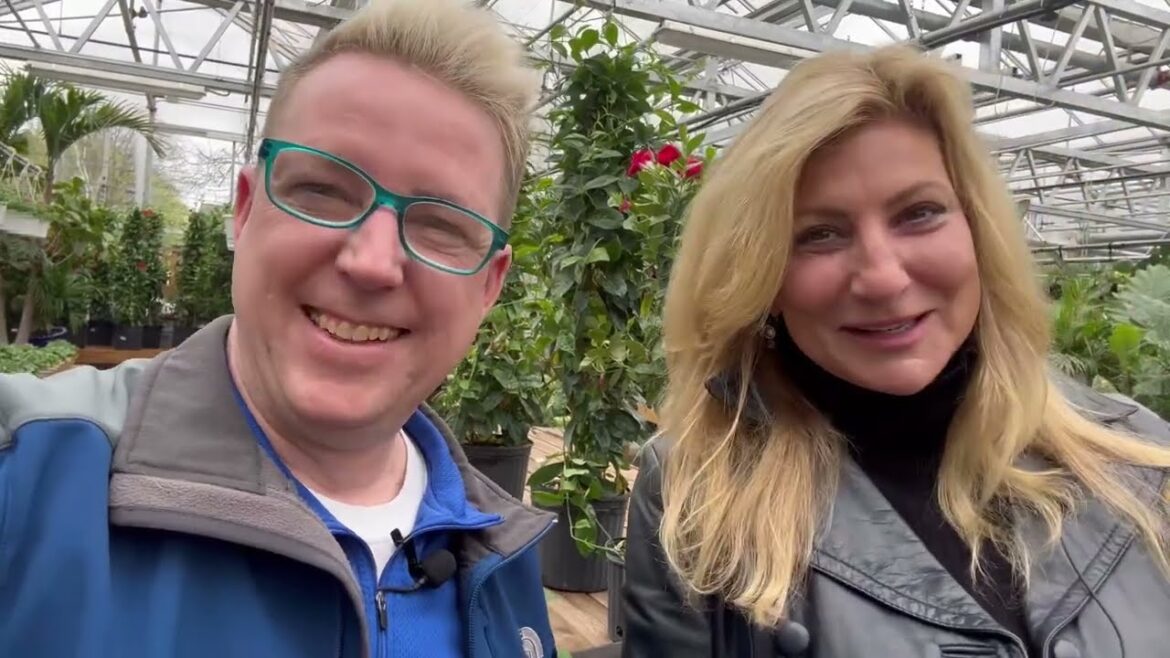 Gardening Shopping On A Budget | Behind The Scenes Look At Affordable Plant: 🪴 Part 1