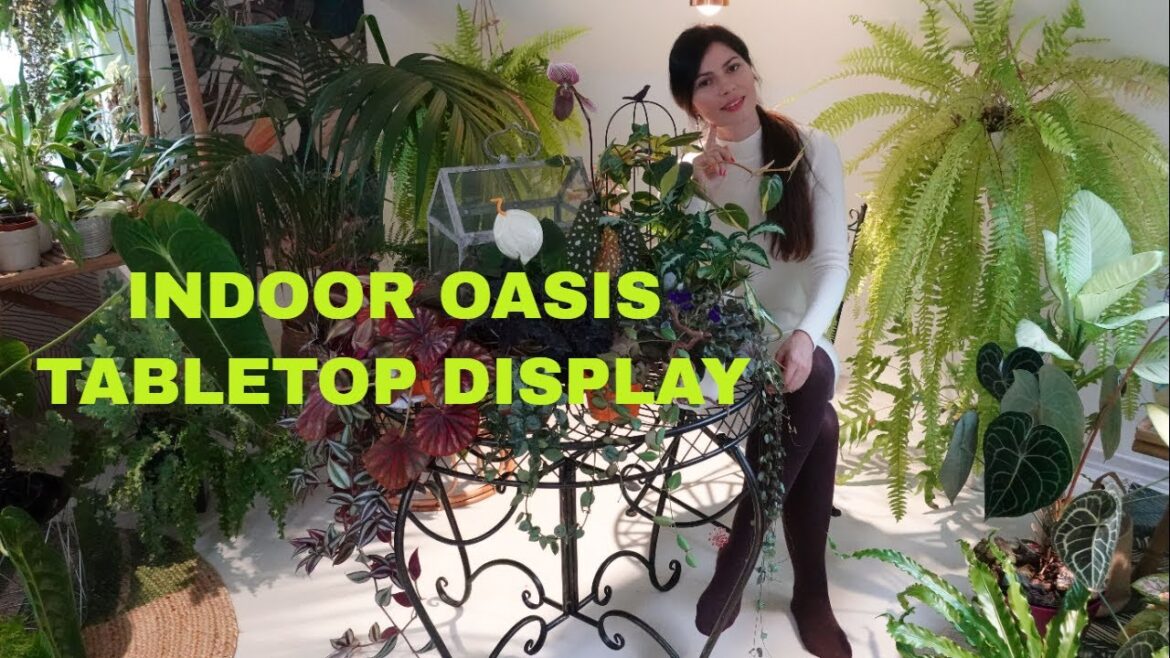 Creating a Lush Indoor Garden: 16 Houseplants for Your Table top Display (Part 1)