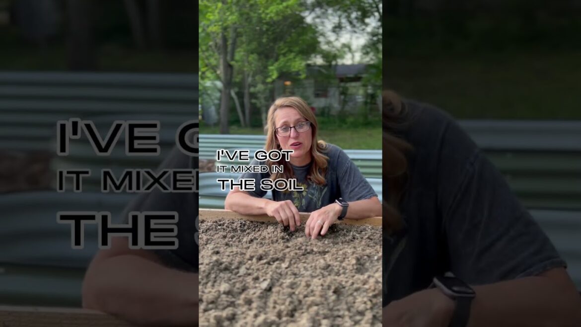 How to retain water in garden soil 🌱💧 #shorts #gardening #containergardening How to retain water in garden soil 🌱💧 #shorts #gardening #containergardening