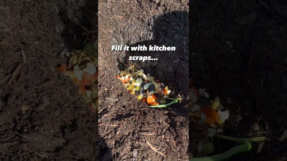 Do This Home Gardening Tip Once A Year For Super RICH and Healthy Soil