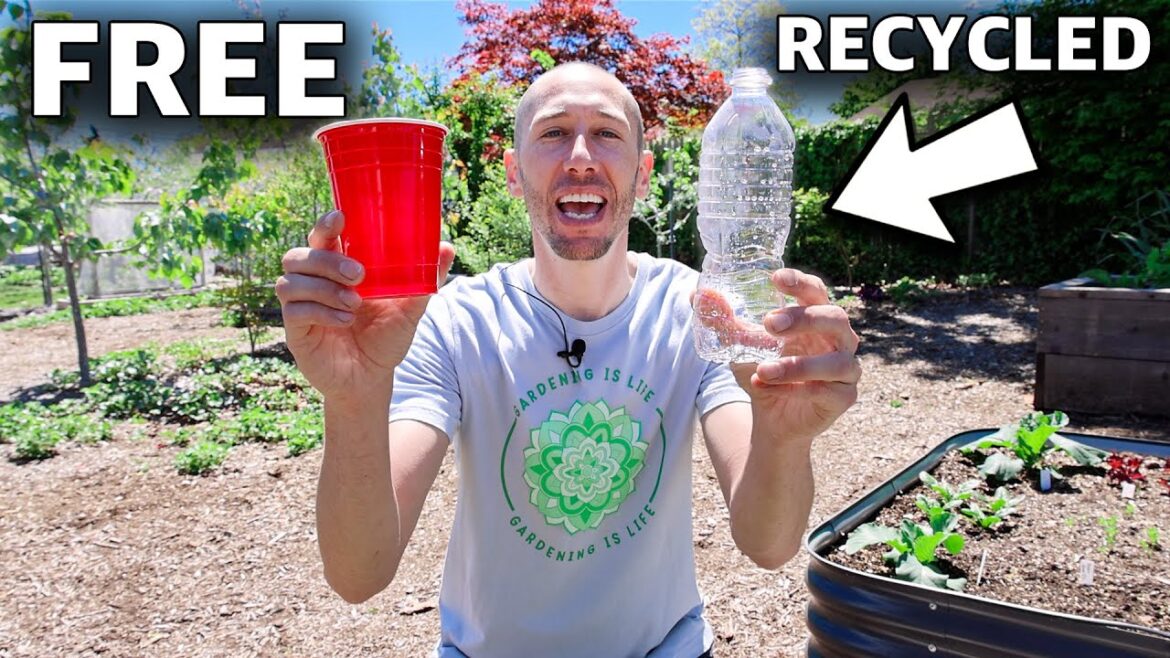 10 SURPRISING Household Items to IMPROVE Your Garden for FREE!