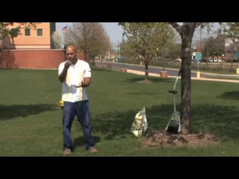 Gardener William Moss Gives Tips for How to Get a Greener Lawn Gardener William Moss Gives Tips for How to Get a Greener Lawn