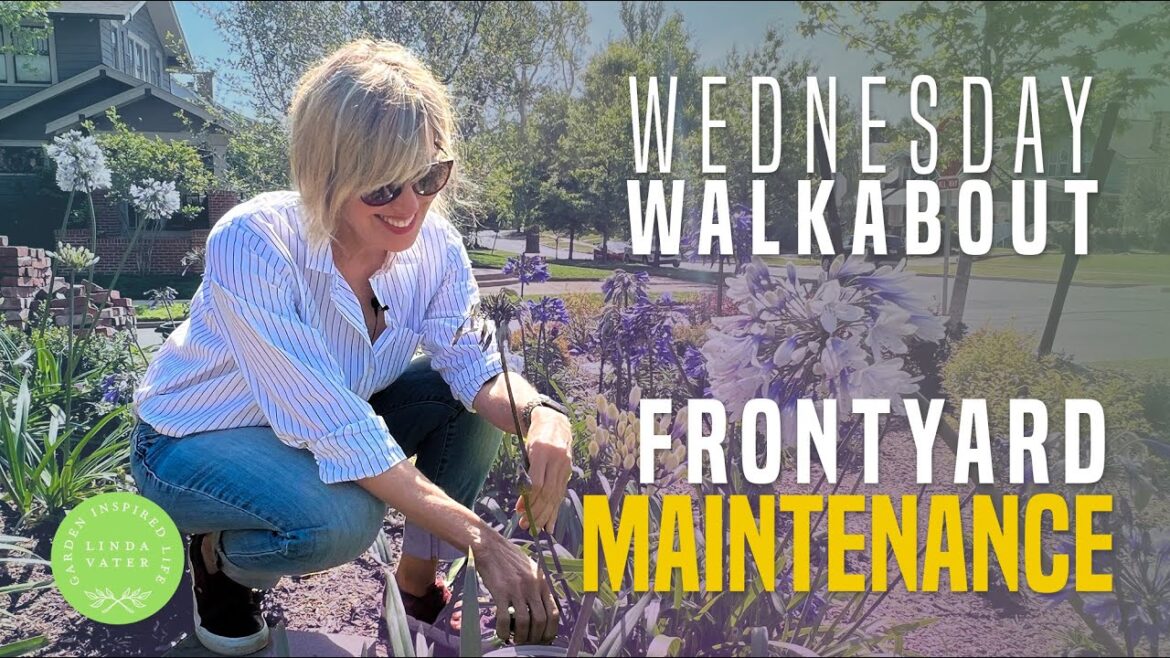 Cottage Garden Maintenance