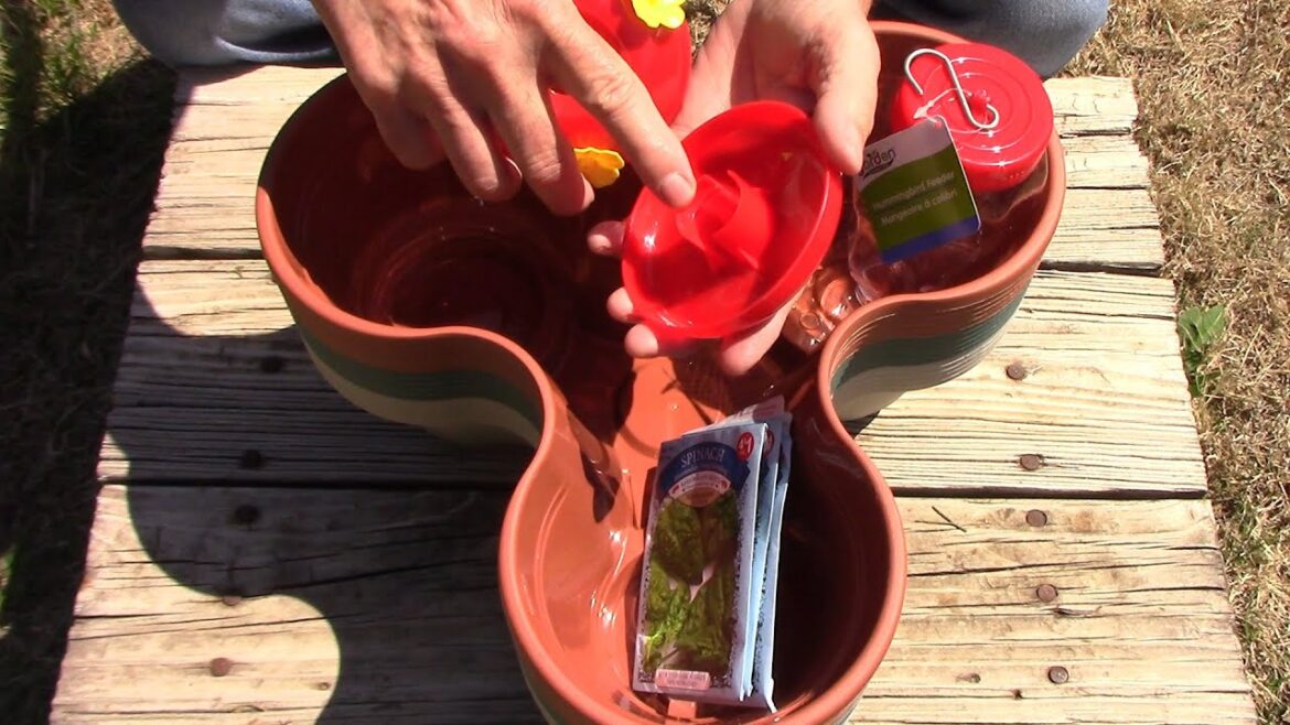 My Dollar Tree Haul Of Gardening Stuff