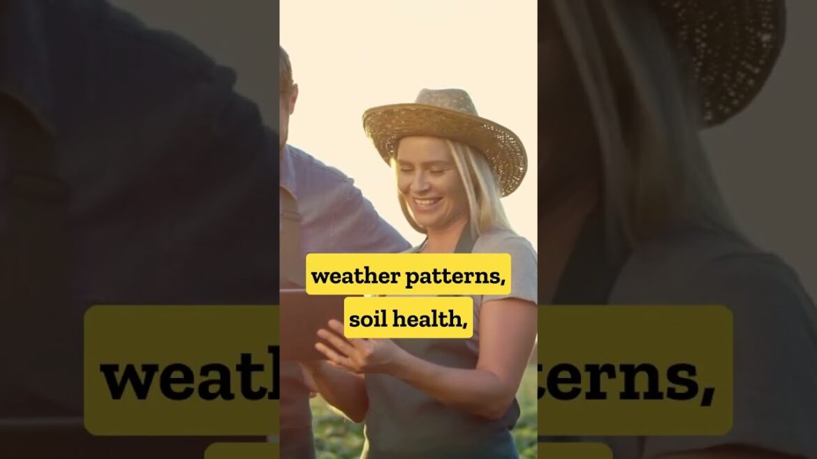 Discover the Future: AI’s Unexpected Impact on Farming #shorts #artificialintelligence Discover the Future: AI's Unexpected Impact on Farming #shorts #artificialintelligence