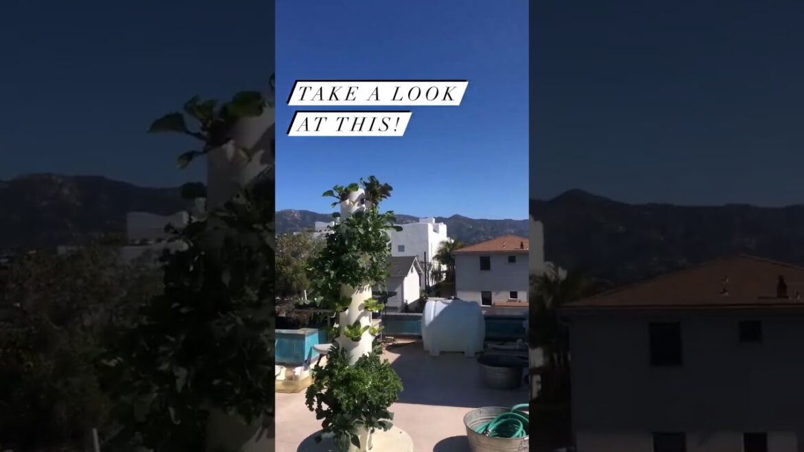 Gardening Tip #785: Beat Inflation by Growing Your Own Food