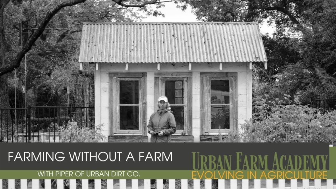 Farm Without a Farm - Edible Gardens as Service Points