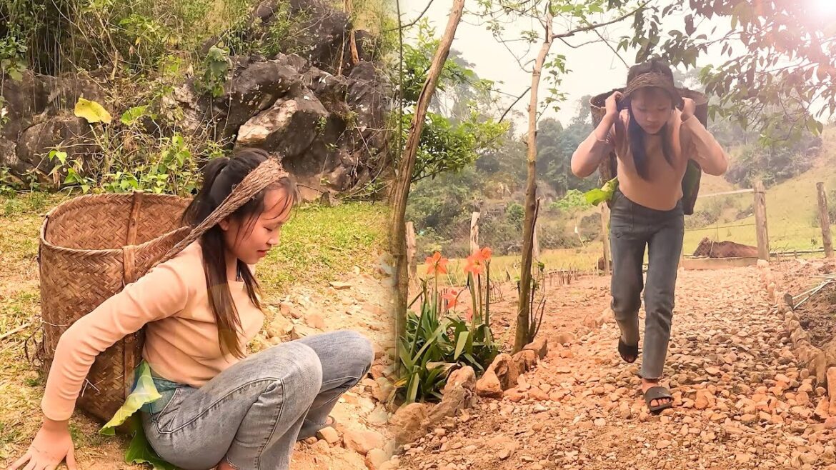 Daily work, Farming, Make stone roads, Cooking | Mountain Food | Nomadic 1