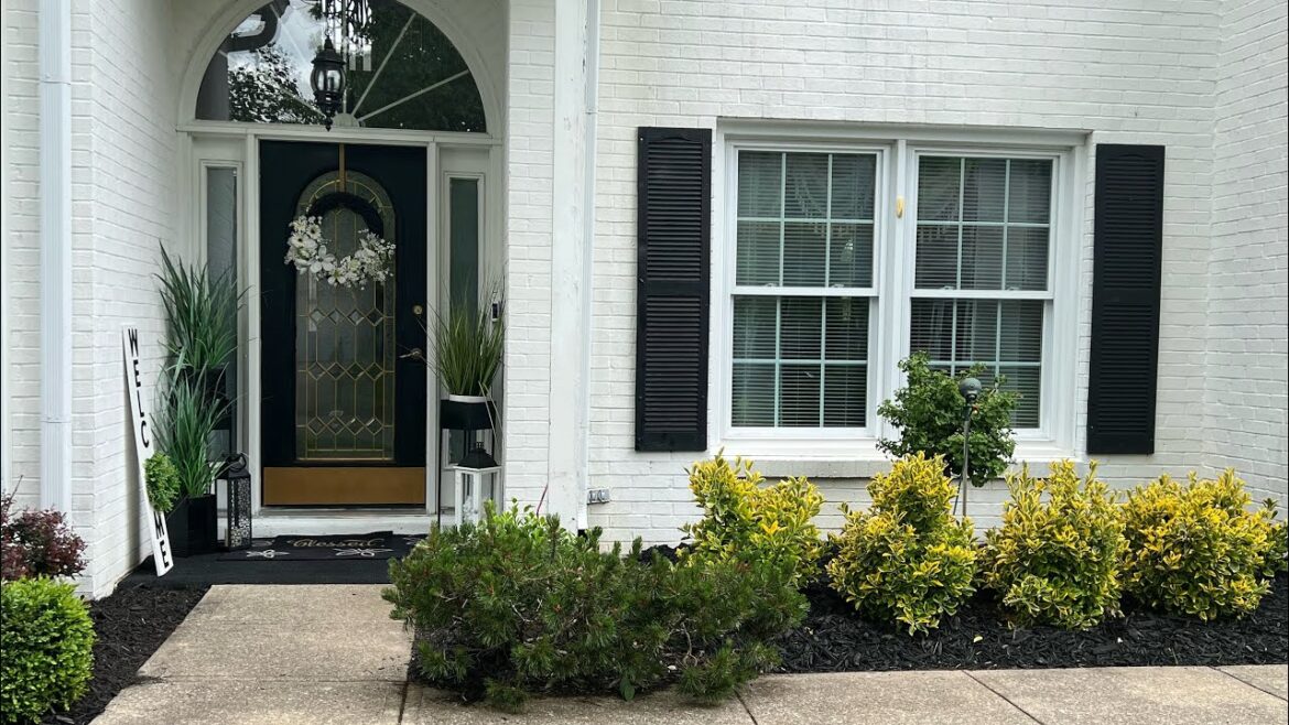 Front & Backyard Refresh, Trees , Shrub And Mulch #tree #mulch #refresh #backyard