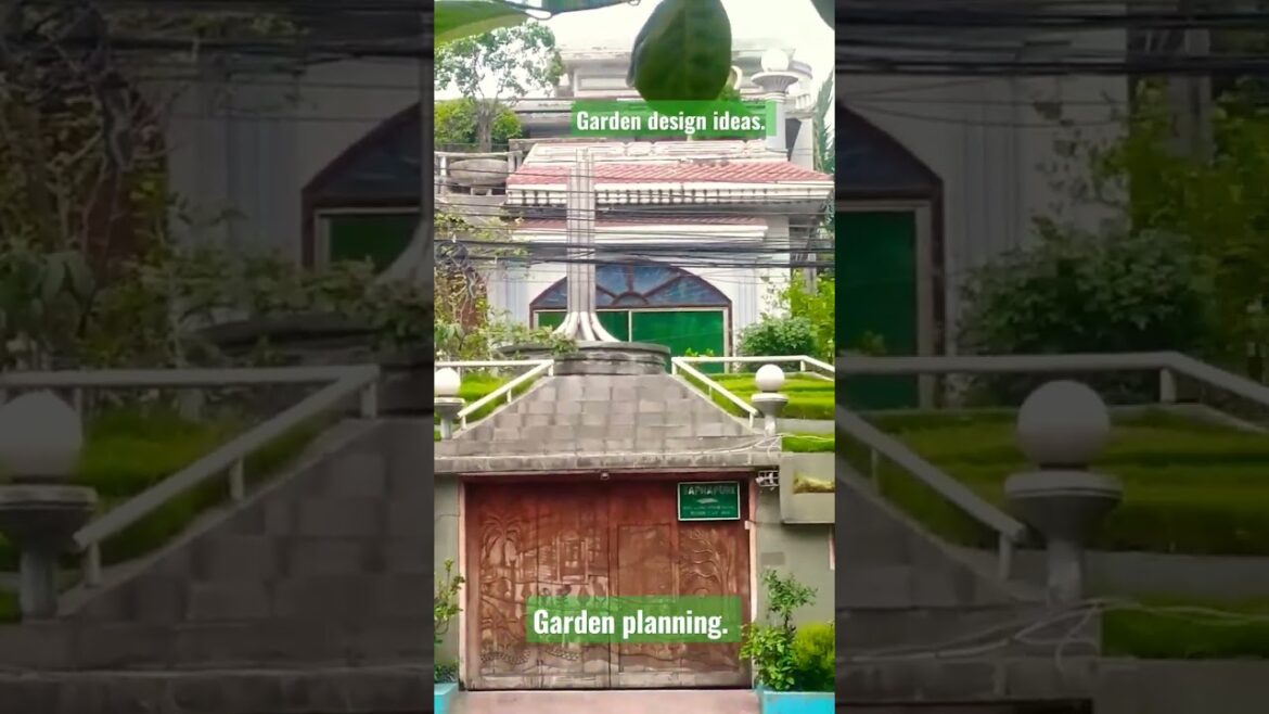 Decoration plant. Designers idea. Garden design. #viral #shorts #short #shortvideo #design Decoration plant. Designers idea. Garden design. #viral #shorts #short #shortvideo #design