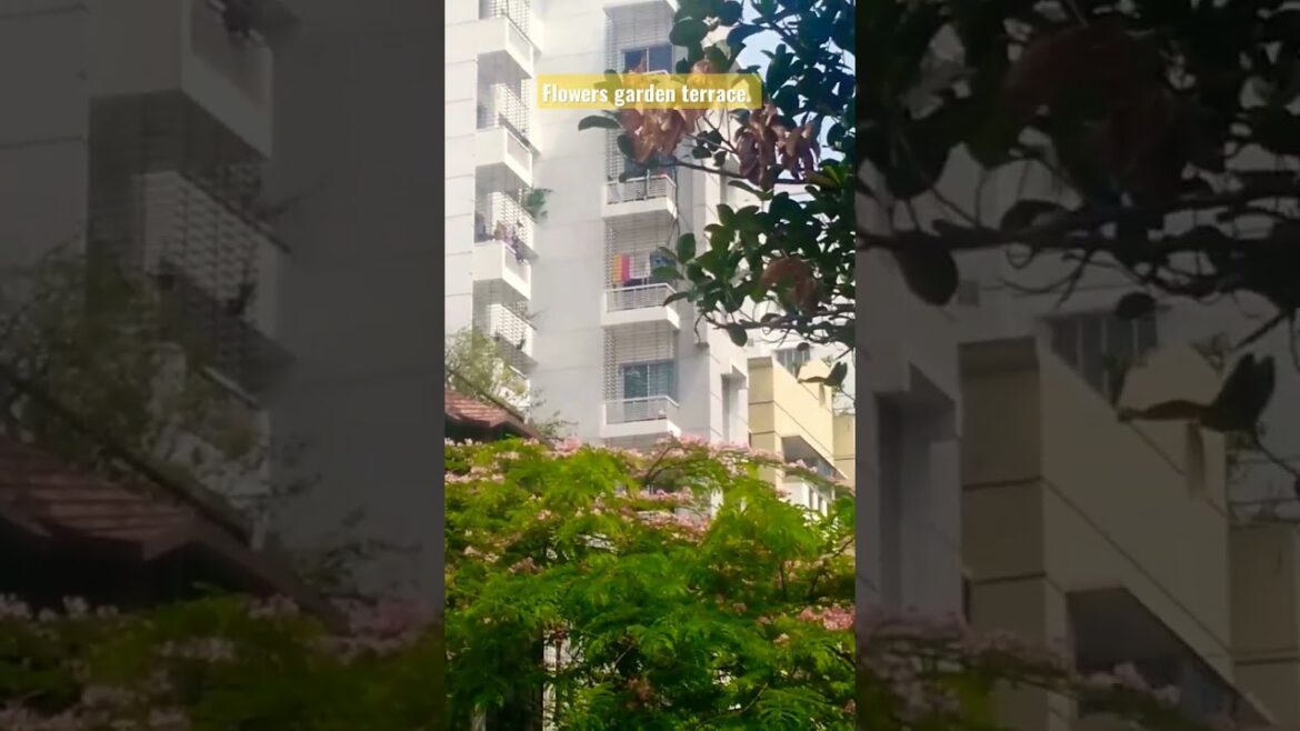 Flowers garden terrace. Garden design. Garden planning. #viral #shorts #short #design #subscribe