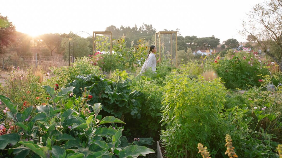 #30 Transforming a Neglected Land into a Vegetable Garden #30 Transforming a Neglected Land into a Vegetable Garden
