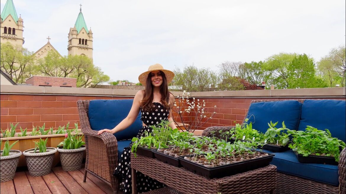 Setting Up The Back Deck Garden! | Container Gardening