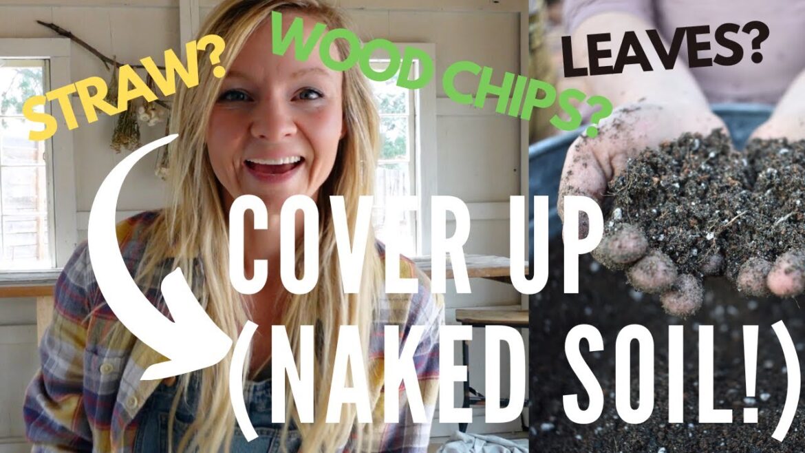 My favorite mulches for the garden RANKED! (And why we don’t use landscape fabric anymore!) My favorite mulches for the garden RANKED! (And why we don’t use landscape fabric anymore!)